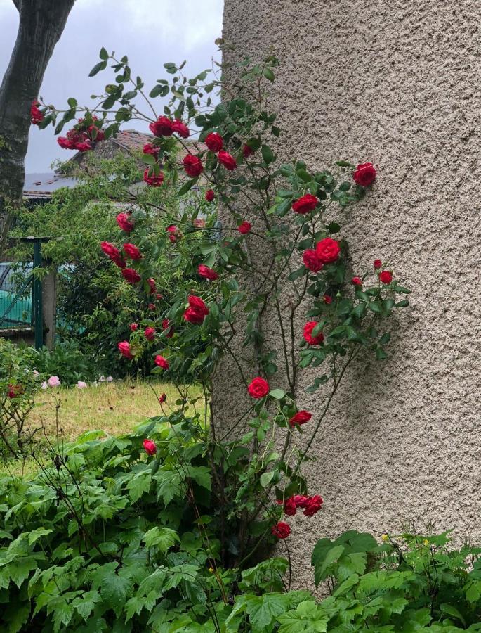 Gite De Pampe Lune & Spa Pampelonne Eksteriør bilde